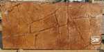 Rain Forest Brown Marble