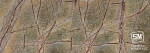 Rain Forest Green Marble