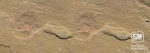 Raj Green Sandstone